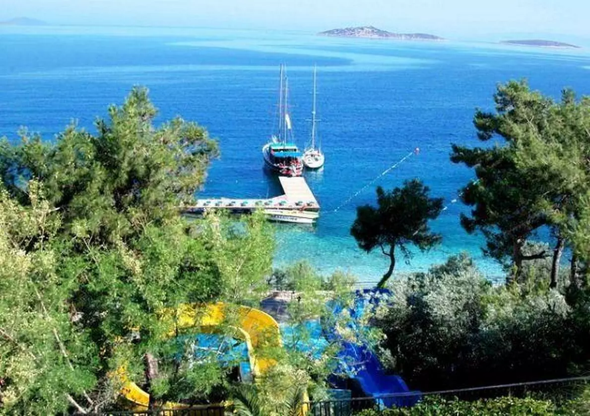 CLUBBLUEDREAM_SHABAVIZ (6).jpg